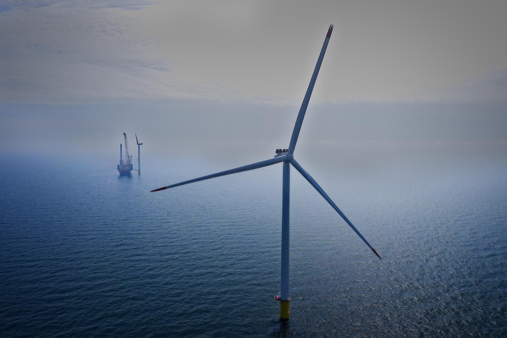 Sukces cenowy pierwszej aukcji offshore. Rynek potwierdza opłacalność, a rząd hamuje rozwój